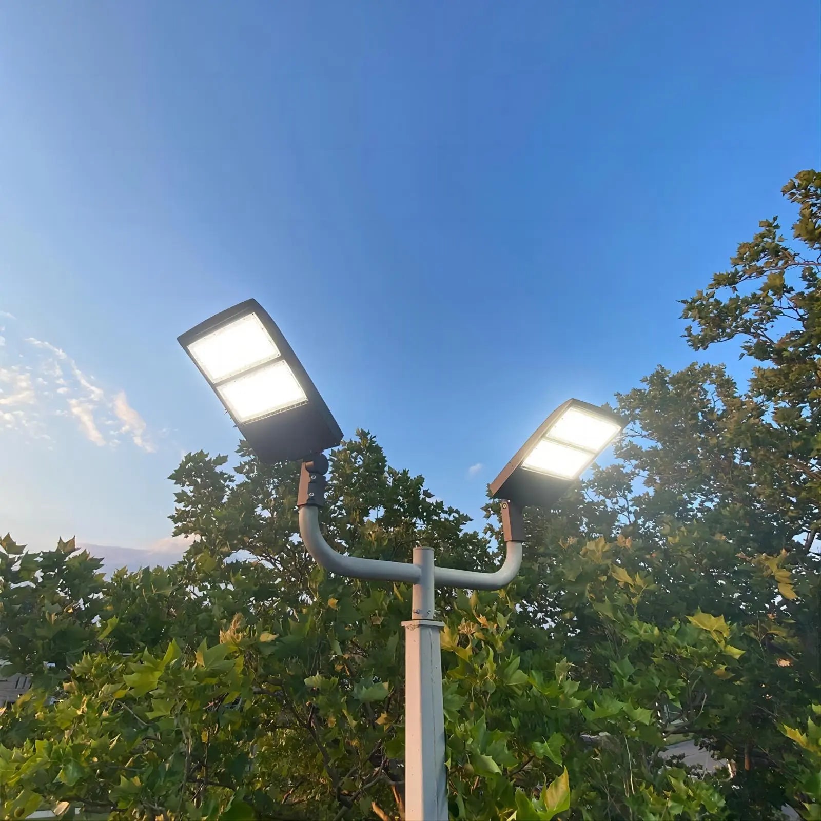 TANLITE LED Parking Lot Light