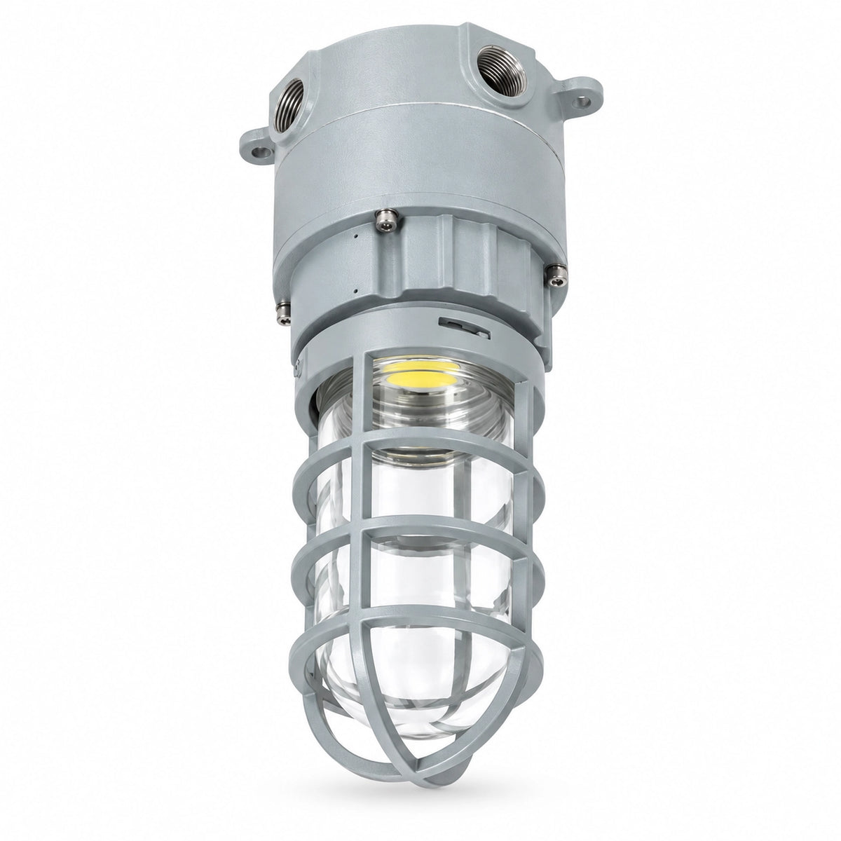 20W C1D2 explosion proof ceiling mount light with protective globe guard on white background