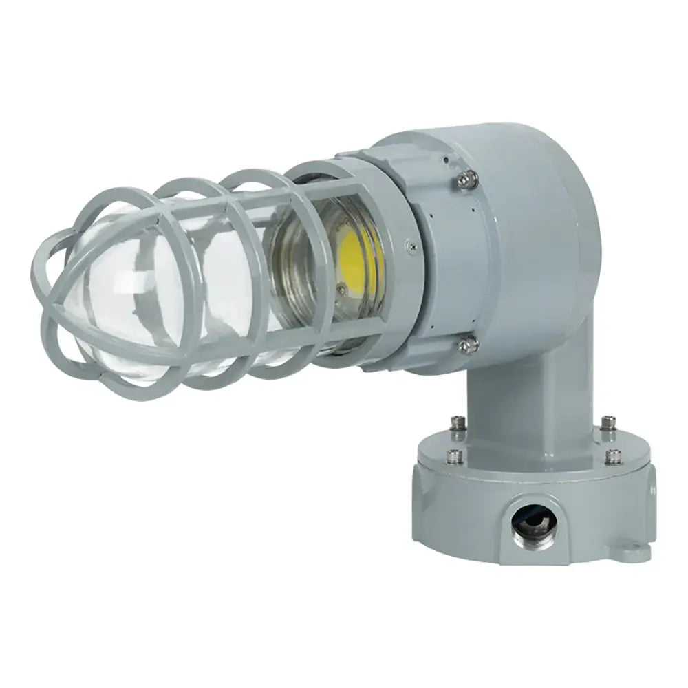 20W C1D2 explosion proof wall mount light with 90-degree mounting arm and globe guard