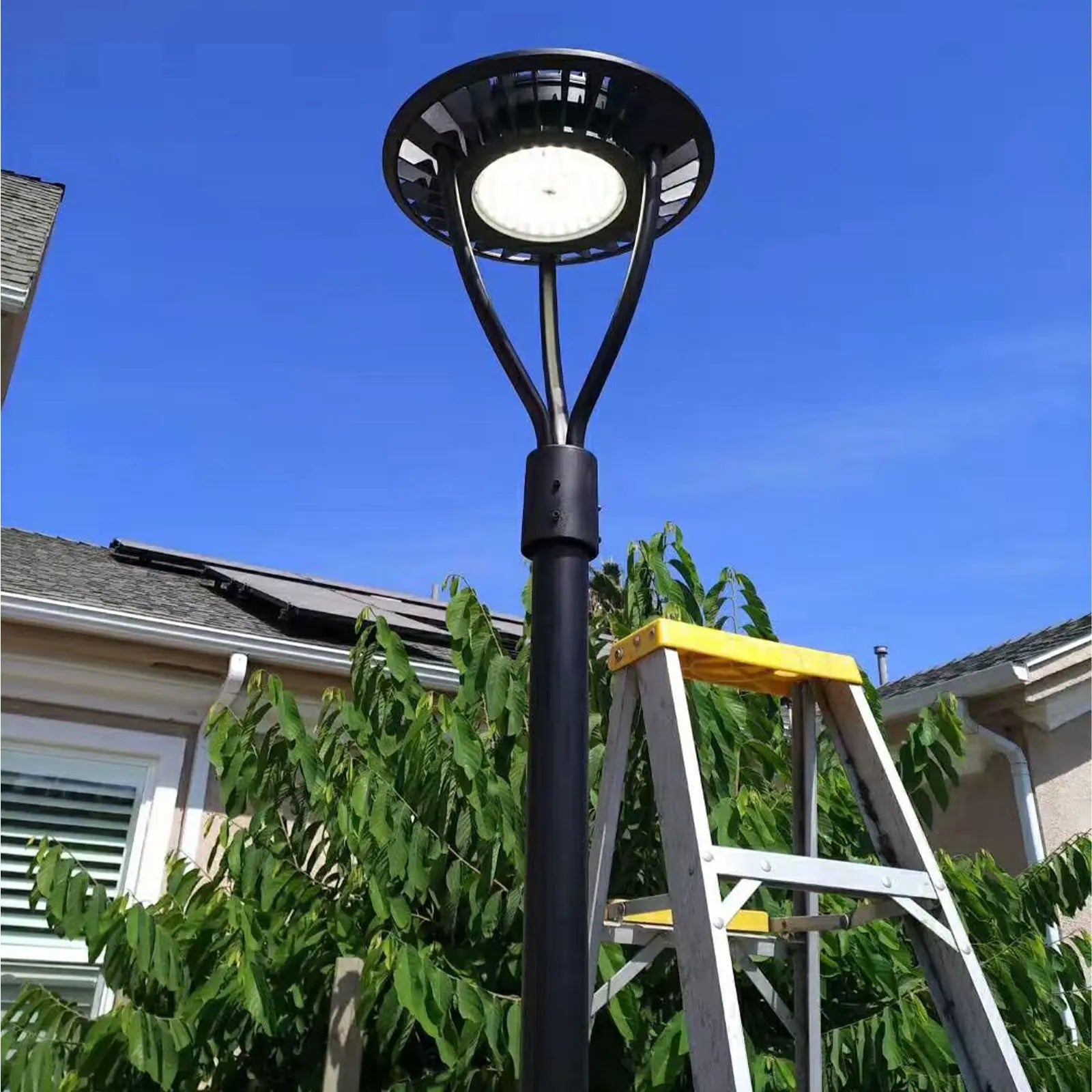 LED Post Top Light-20W/30W/40W/60W Selectable-CCT 3000K/4000K/5000K Selectable-Outdoor Waterproof-Compatible Photocell-5 Years Warranty TANLITE