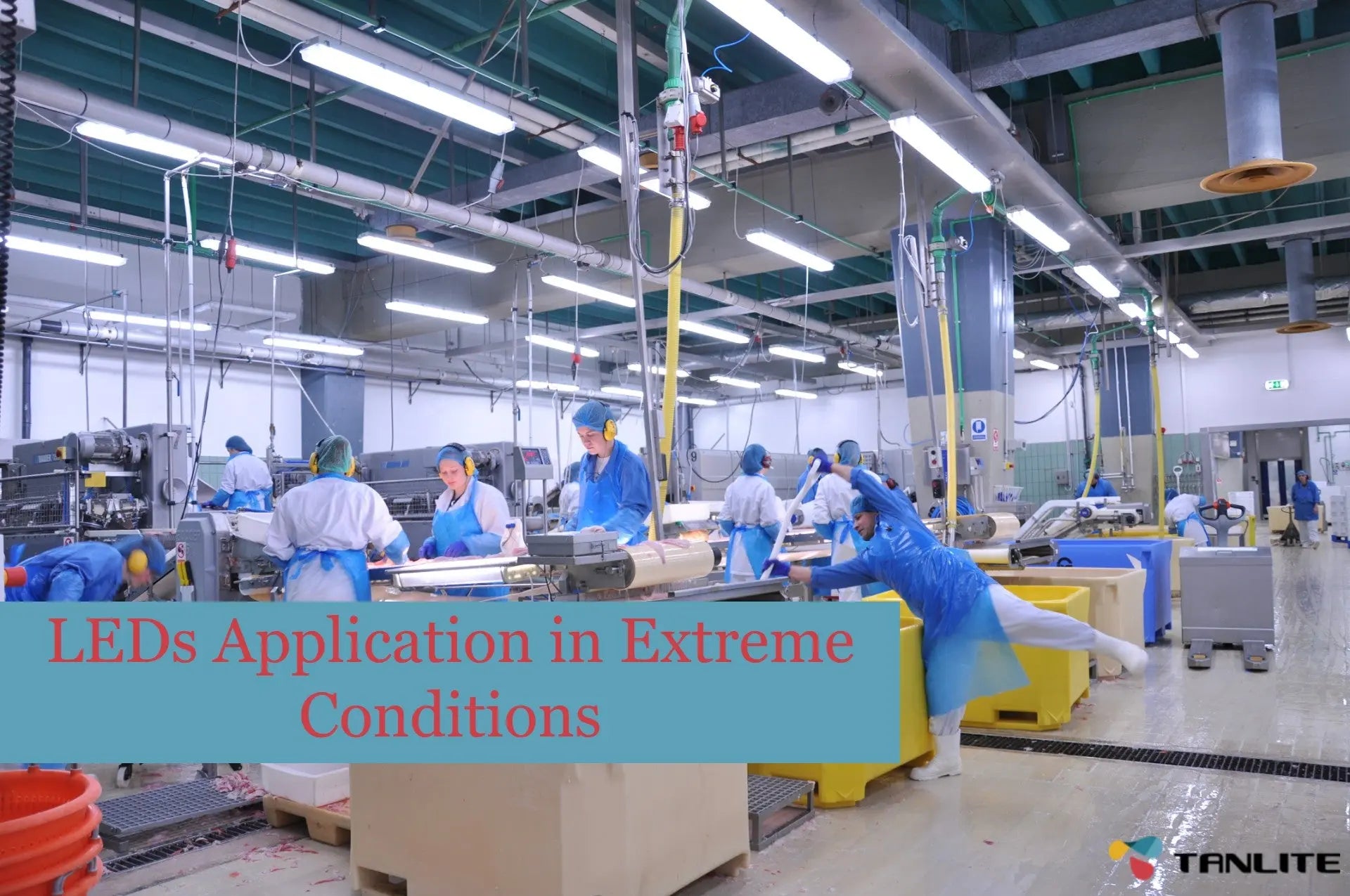 LEDs Application in Extreme Conditions - TANLITE