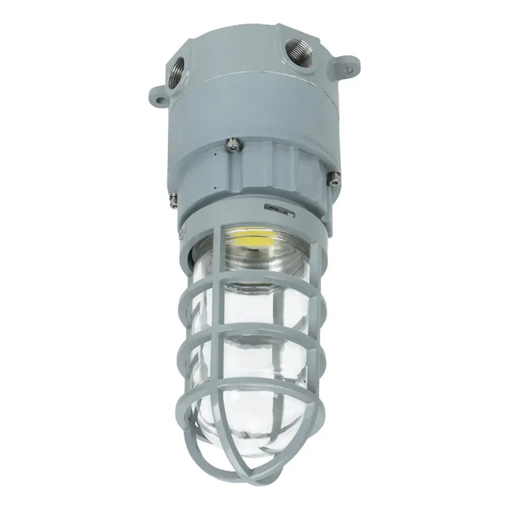 20W LED explosion proof jelly jar light with M1 ceiling mount and globe guard