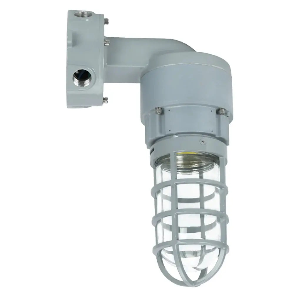 20W LED explosion proof jelly jar light with M3 90-degree wall mount and globe guard