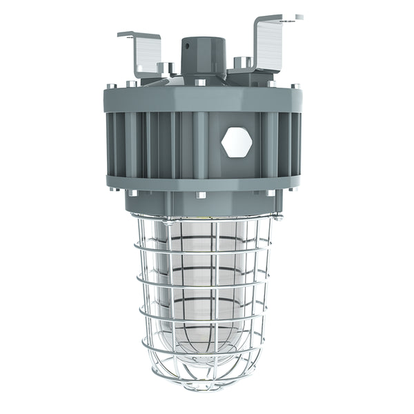 TANLITE 30W LED Explosion Proof Jelly Jar Light-Class 1 Division 1-5000K-100-277V-For Hazardous Location Lighting