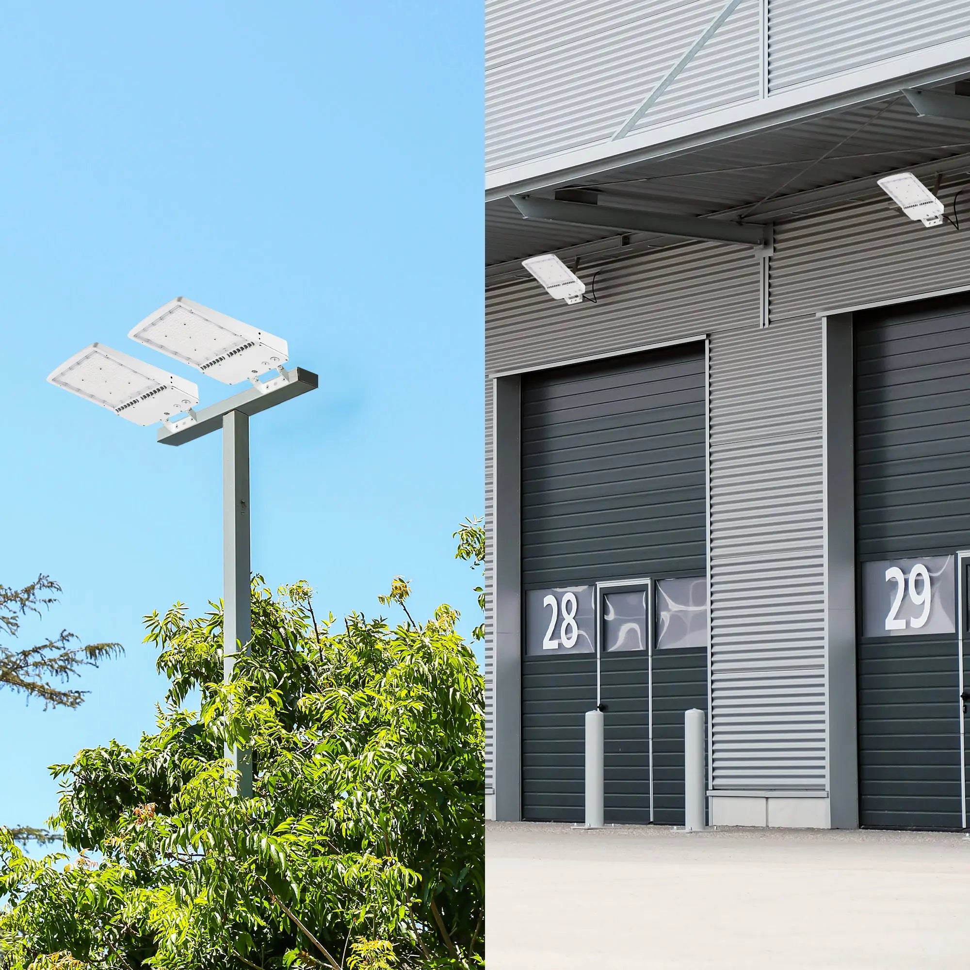 TANLITE LED area light with adjustable trunnion mount for precision aiming.